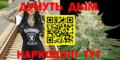 сатива Будённовск