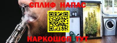 сатива Будённовск