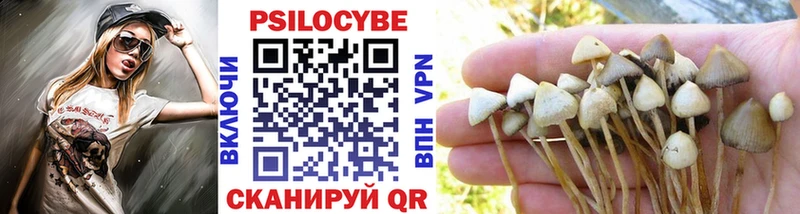 Псилоцибиновые грибы Magic Shrooms  Шумерля 