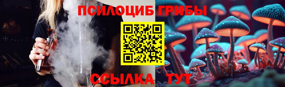 магазин продажи наркотиков  Псилоцибиновые грибы прущие грибы  Вход с VPN  Шумерля  Галлюциногенные грибы MAGIC MUSHROOMS 