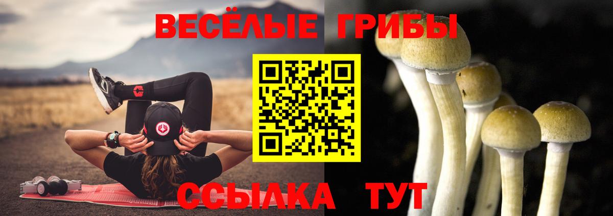 Псилоцибиновые грибы прущие грибы  Шумерля 